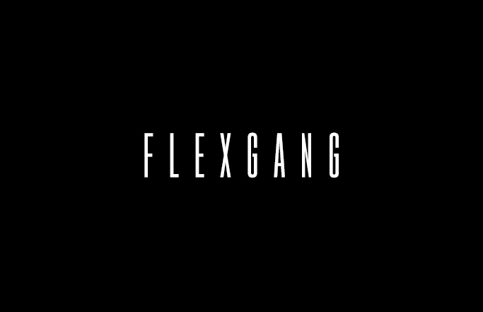 FLEXGANG